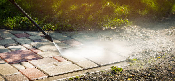 Best Graffiti Removal  in Estero, FL